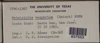Image Associated With the Occurence